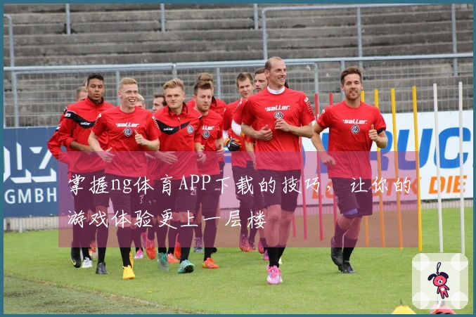 掌握ng体育APP下载的技巧，让你的游戏体验更上一层楼