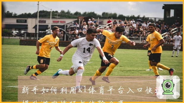 新手如何利用k1体育平台入口快速提升游戏技巧与体验分享