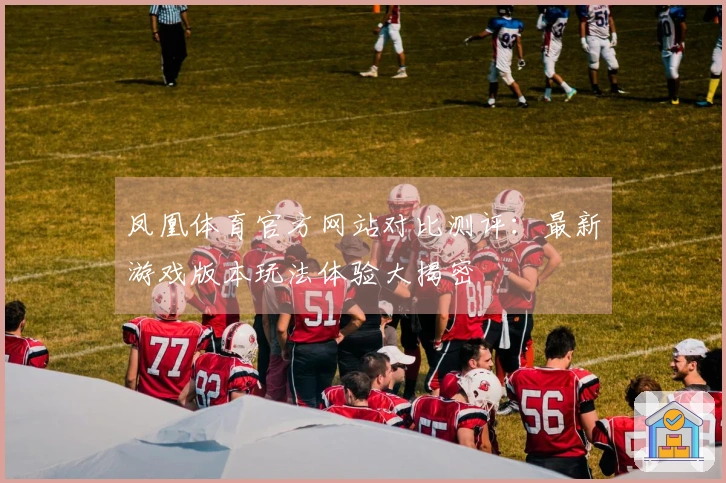 凤凰体育官方网站对比测评：最新游戏版本玩法体验大揭密